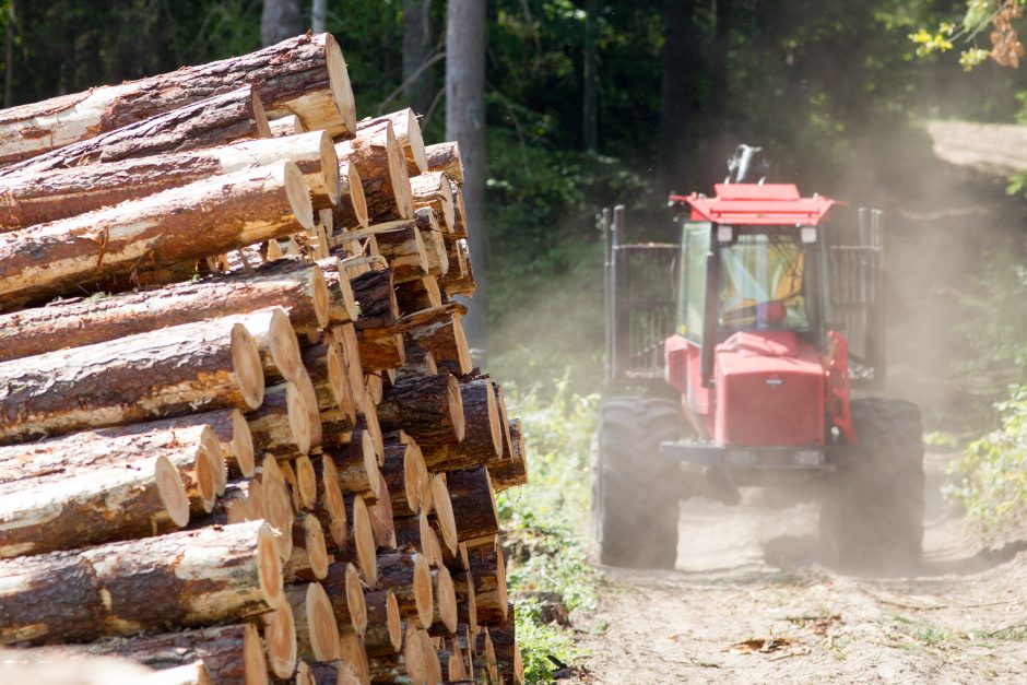 Vyriausybė laikinai riboja medienos pardavimus