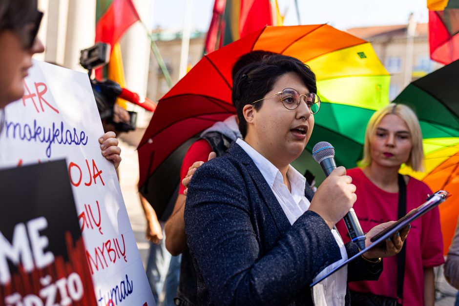 LGBTQ atstovų proteste – ir skambūs pareiškimai: „Geras pedofilas – miręs pedofilas“