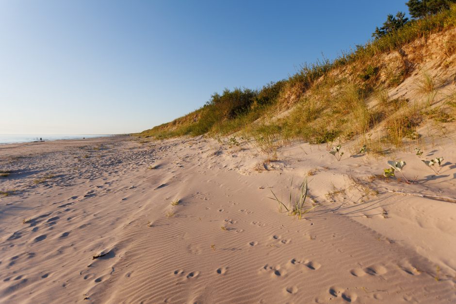 Apie artimiausių dienų orus: kai miestas tampa viena didele sauna, belieka tik prisitaikyti