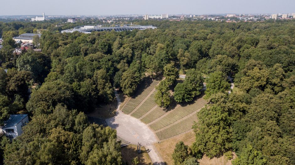 Puiki žinia: pokyčius Ąžuolyno komplekse pratęs Dainų slėnio rekonstrukcija 