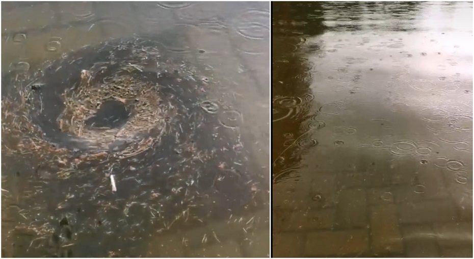 Kai kuriose Lietuvos vietovėse pila stiprus lietus, plaukia gatvės
