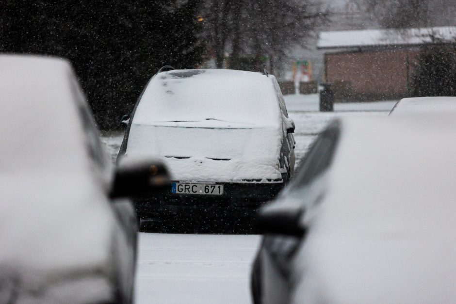 Apie orų maišalynę: Lietuva padalinta į keletą dalių