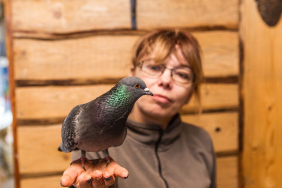 Lapiukui Foksui ir jo draugams išgyventi pavyko dėl žmonių jautrumo 