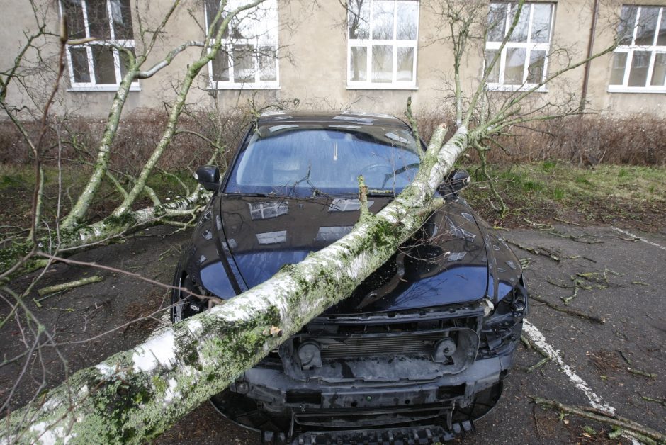 Pajūrio krašte medžiai neatlaikė vėtros