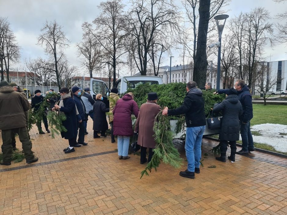 Urėdija: gyventojams išdalinta apie 100 tūkst. eglišakių