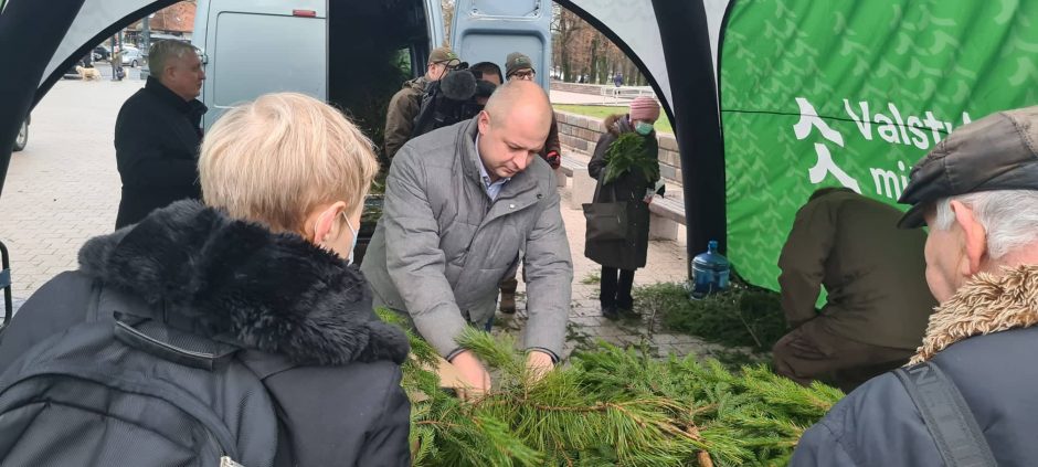 Urėdija: gyventojams išdalinta apie 100 tūkst. eglišakių