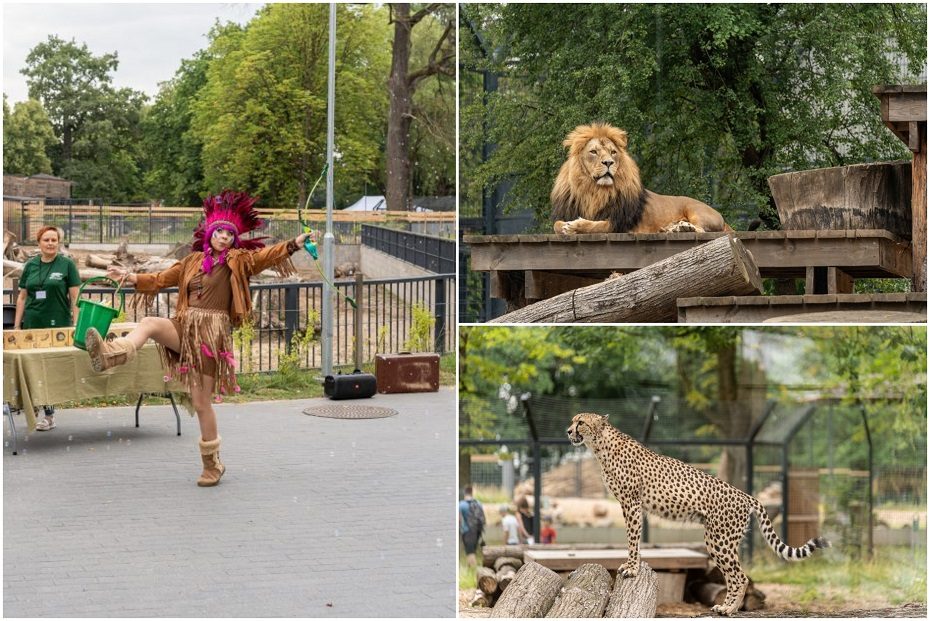 Lietuvos zoologijos sodas pirmą kartą po rekonstrukcijos švenčia gimtadienį