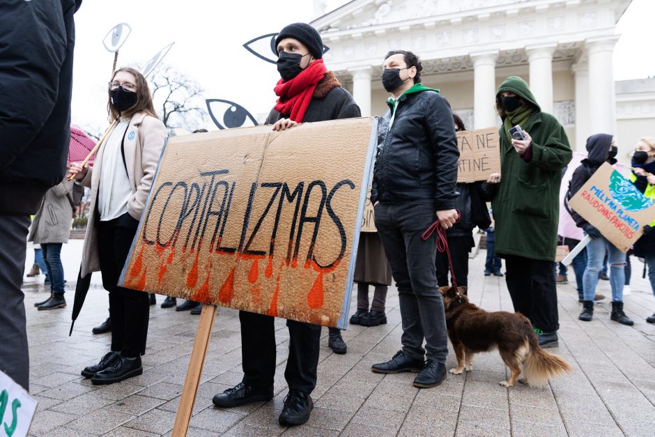 Protestuojantieji dėl migracijos politikos: tai – demokratijos egzaminas