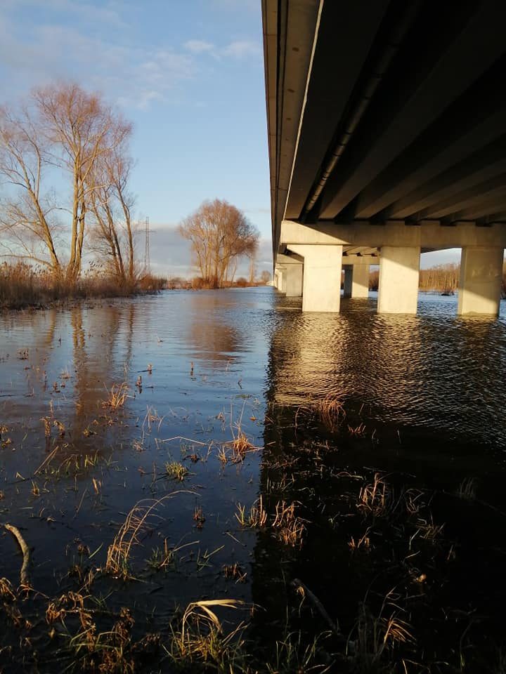 Rusnės estakadą pasiekė vanduo