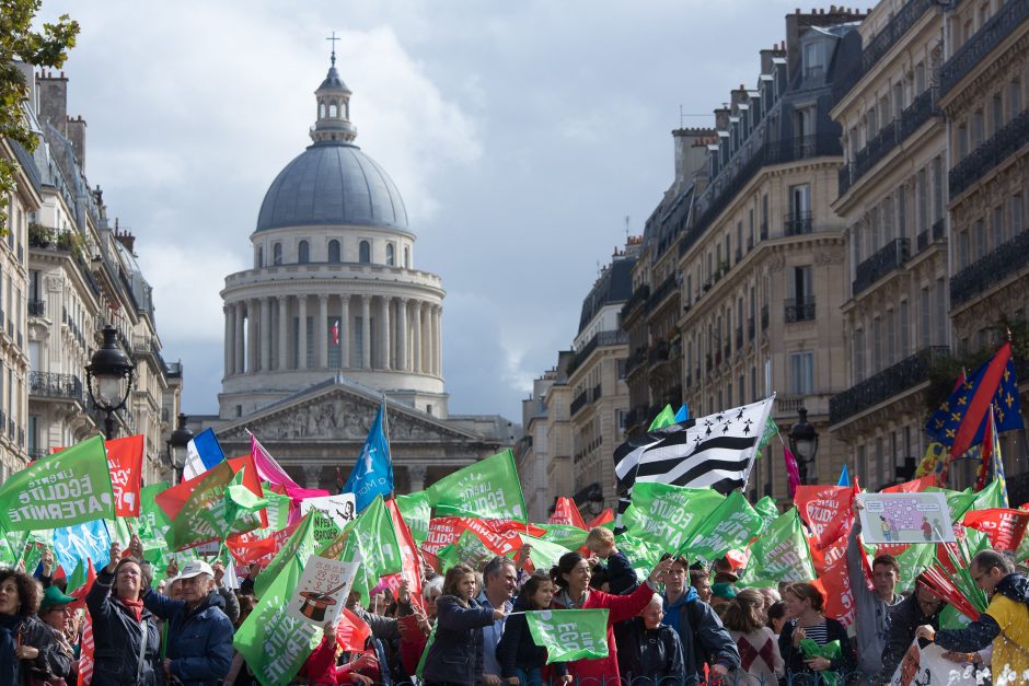 Paryžiuje protestuota prieš pagalbinio apvaisinimo galimybę vienišoms moterims