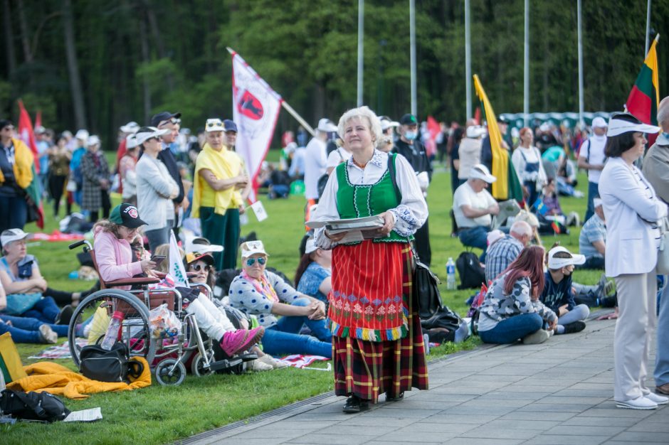 Vilniaus valdžia: užfiksavome, kad Šeimos gynimo marše buvo gausiai vartojami alkoholiniai gėrimai