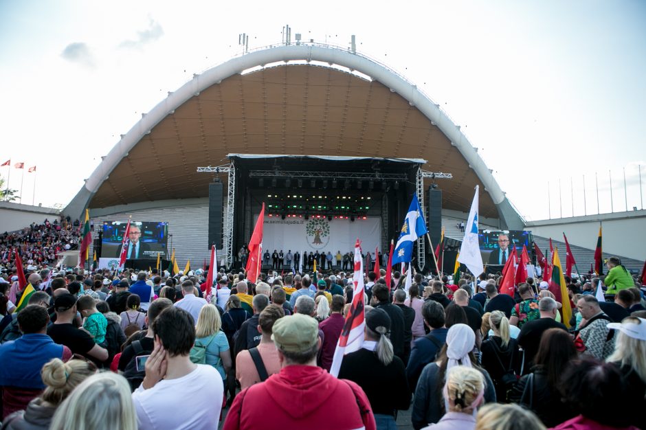 Vilniaus valdžia: užfiksavome, kad Šeimos gynimo marše buvo gausiai vartojami alkoholiniai gėrimai