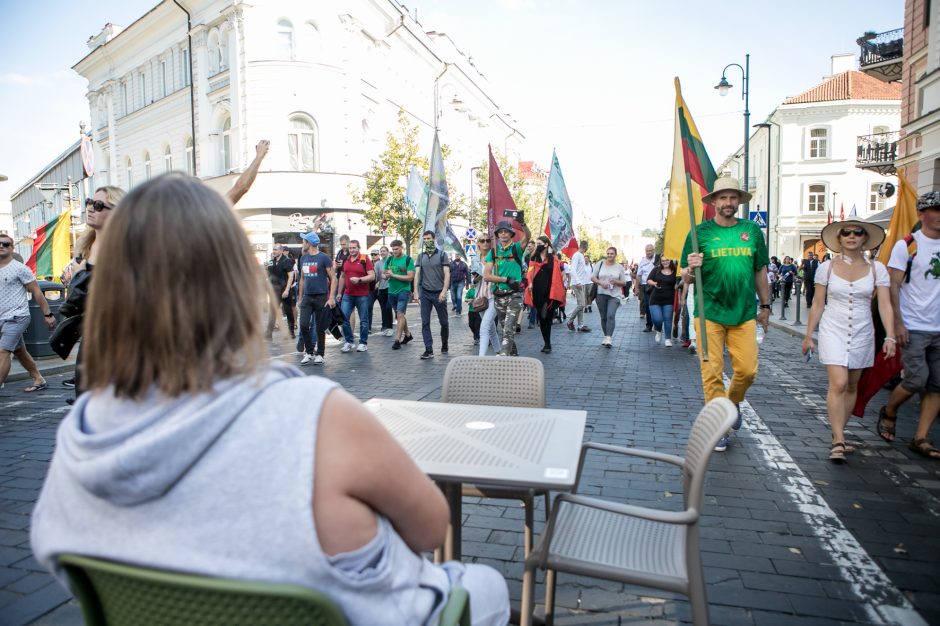 Po Šeimų sąjūdžio mitingo minia žmonių renkasi prie Seimo 