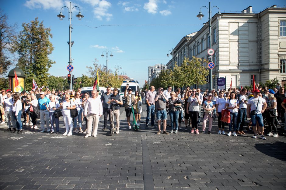 Po Šeimų sąjūdžio mitingo minia žmonių renkasi prie Seimo 