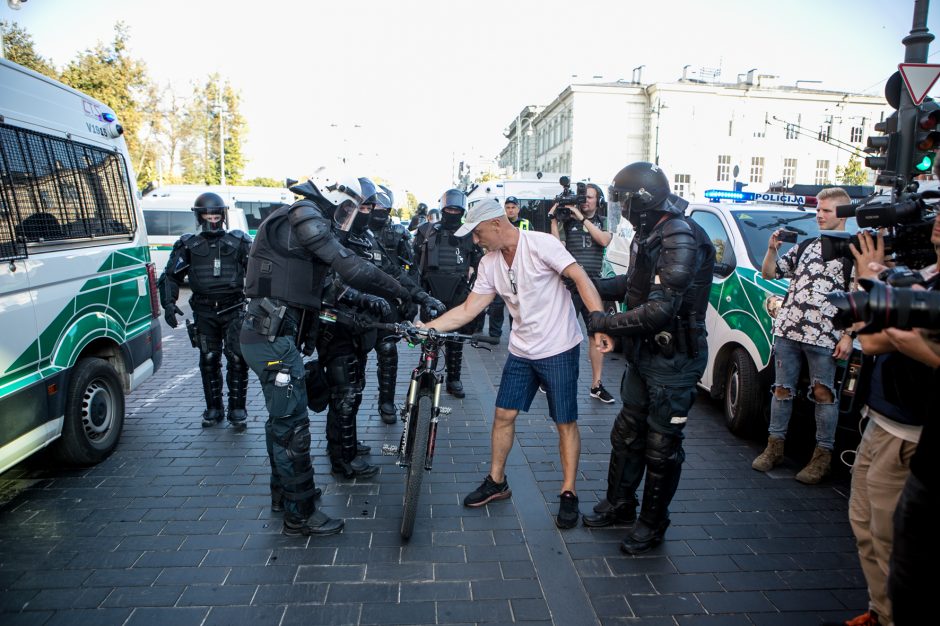 Po Šeimų sąjūdžio mitingo minia žmonių renkasi prie Seimo 