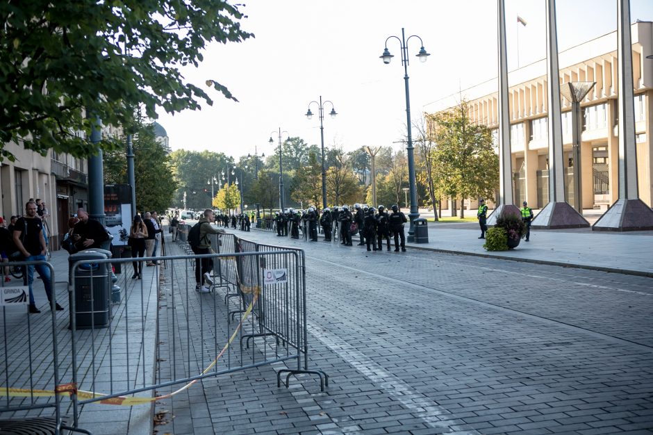 Po Šeimų sąjūdžio mitingo minia žmonių renkasi prie Seimo 