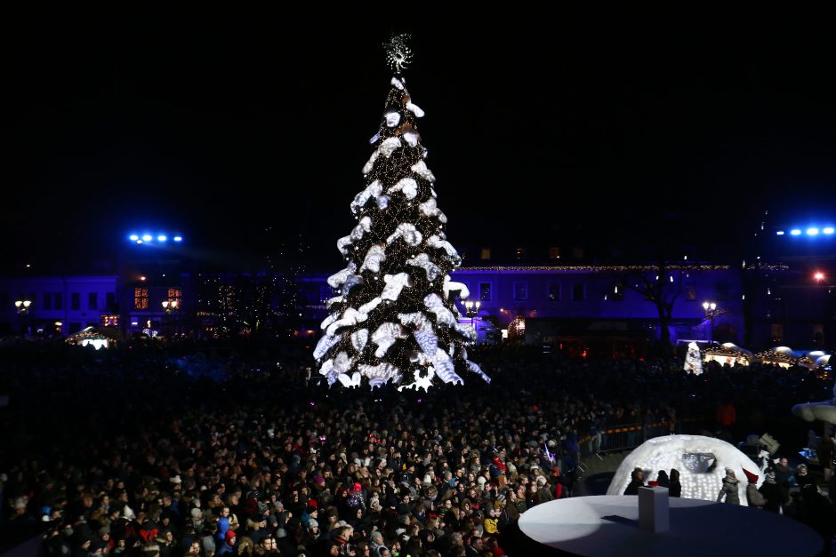 Rotušės aikštėje įžiebta įspūdinga Kalėdų eglė (vaizdo įrašas)