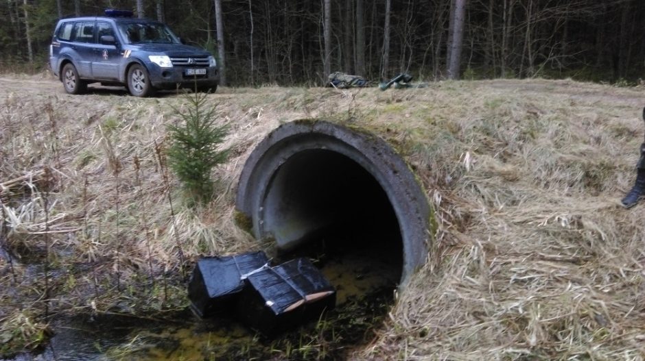 Kinologų aviganė Kulka kontrabandą aptiko akimirksniu