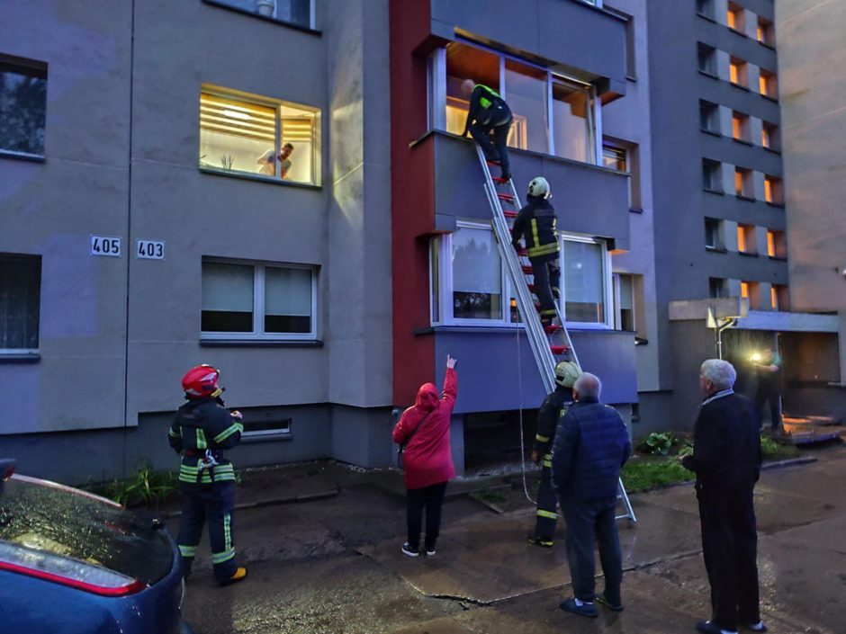 Drama Savanorių prospekte: nukentėjo ir Stafordšyro terjero šeimininkė, ir jos augintinis