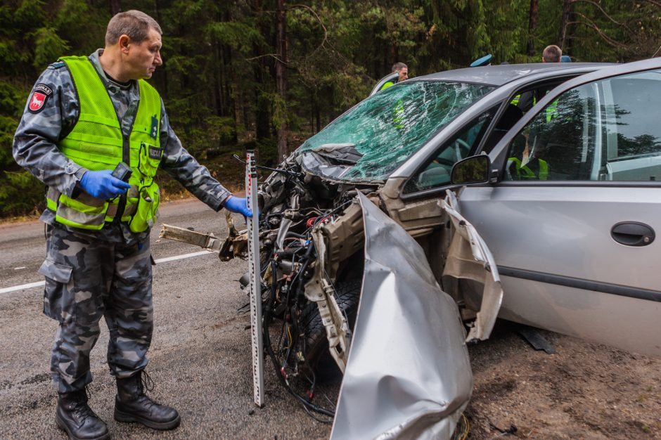 Dėl tragiškos kaktomušos ketinama skirti į visus klausimus atsakysiančią ekspertizę