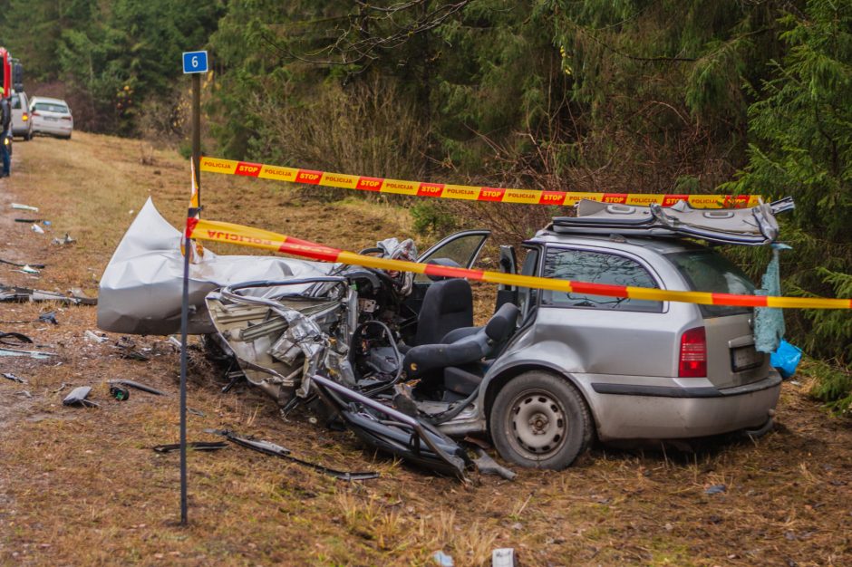 Dėl tragiškos kaktomušos ketinama skirti į visus klausimus atsakysiančią ekspertizę