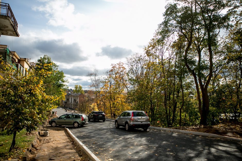 Žemaičių gatvėje užvirs asfaltavimo darbai