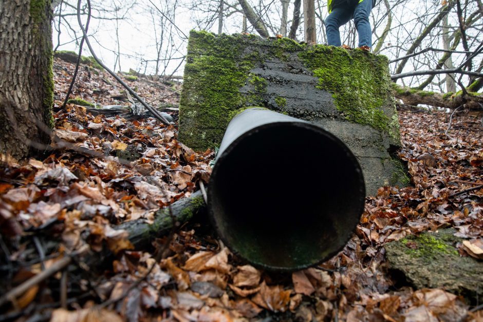 Po taršos skandalų – griežtesnė atsakomybė