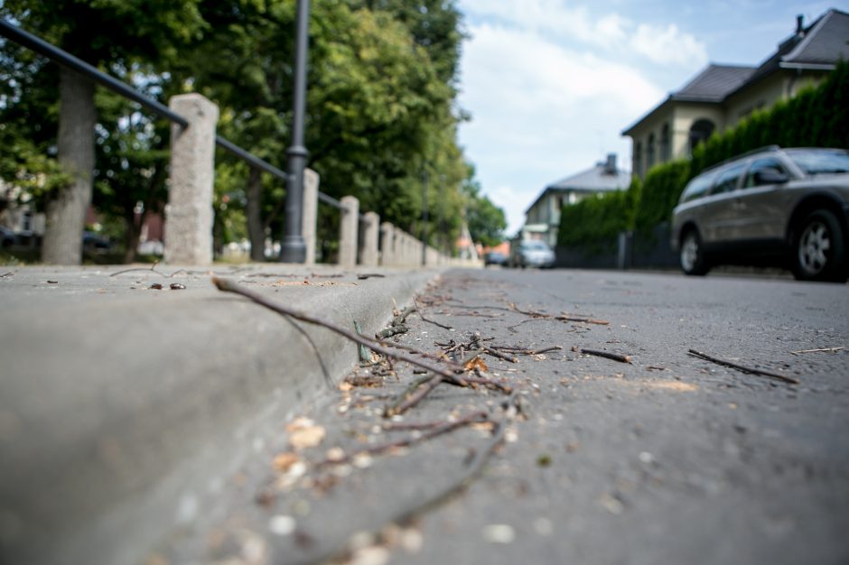 Kauniečiai sukluso: prie Kauko laiptų vėl pjauna medžius?