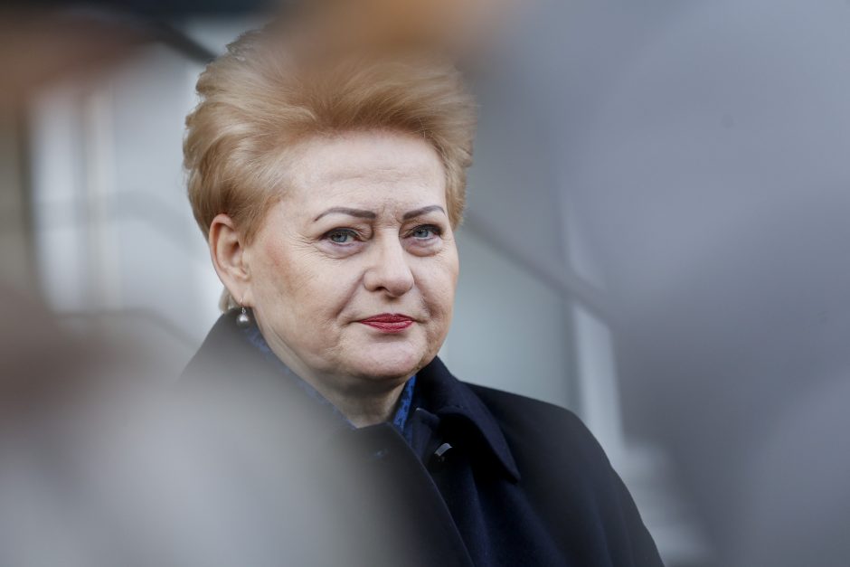 D. Grybauskaitė: „Independence“ užtikrino šalies ekonominę jėgą