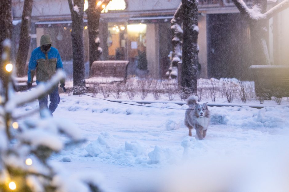 Kauną nuklojo baltas sniego patalas, vairavimo sąlygos – sudėtingos