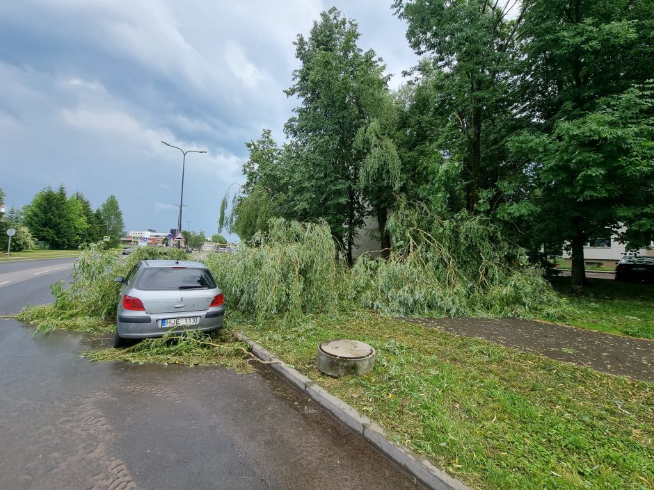 Kontrastai Kaune: vienur – svilinanti kaitra, kitur – skęstančios gatvės ir lūžtantys medžiai