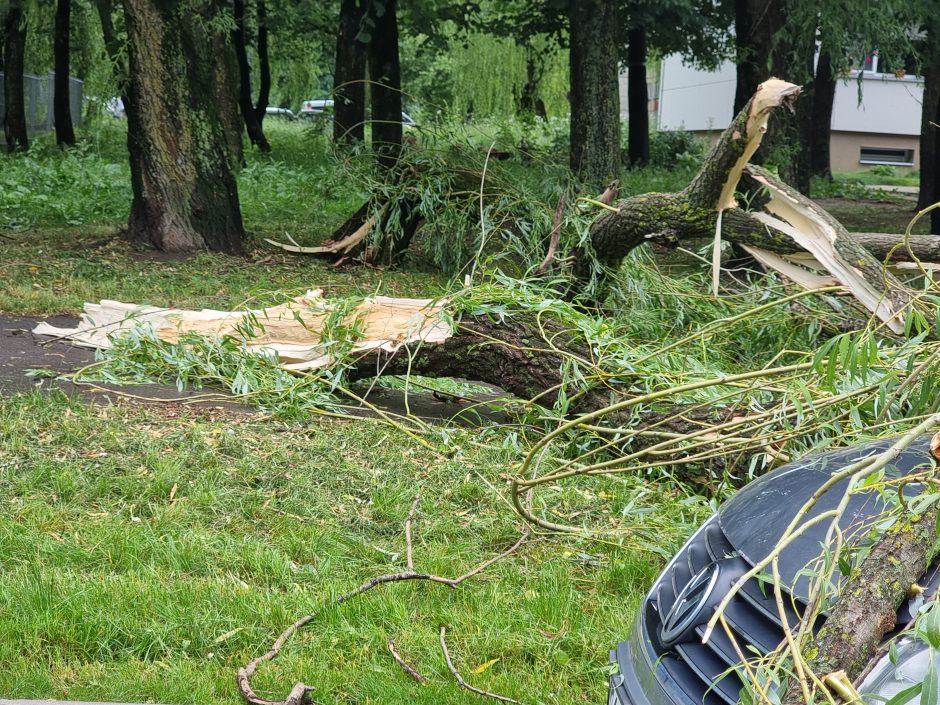 Kontrastai Kaune: vienur – svilinanti kaitra, kitur – skęstančios gatvės ir lūžtantys medžiai