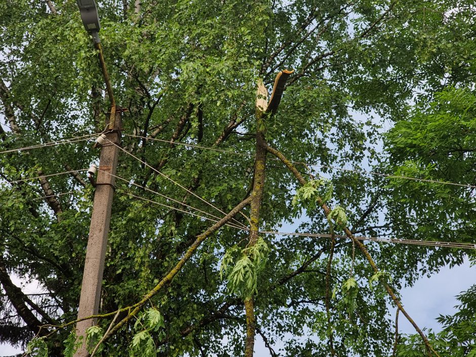 Kontrastai Kaune: vienur – svilinanti kaitra, kitur – skęstančios gatvės ir lūžtantys medžiai