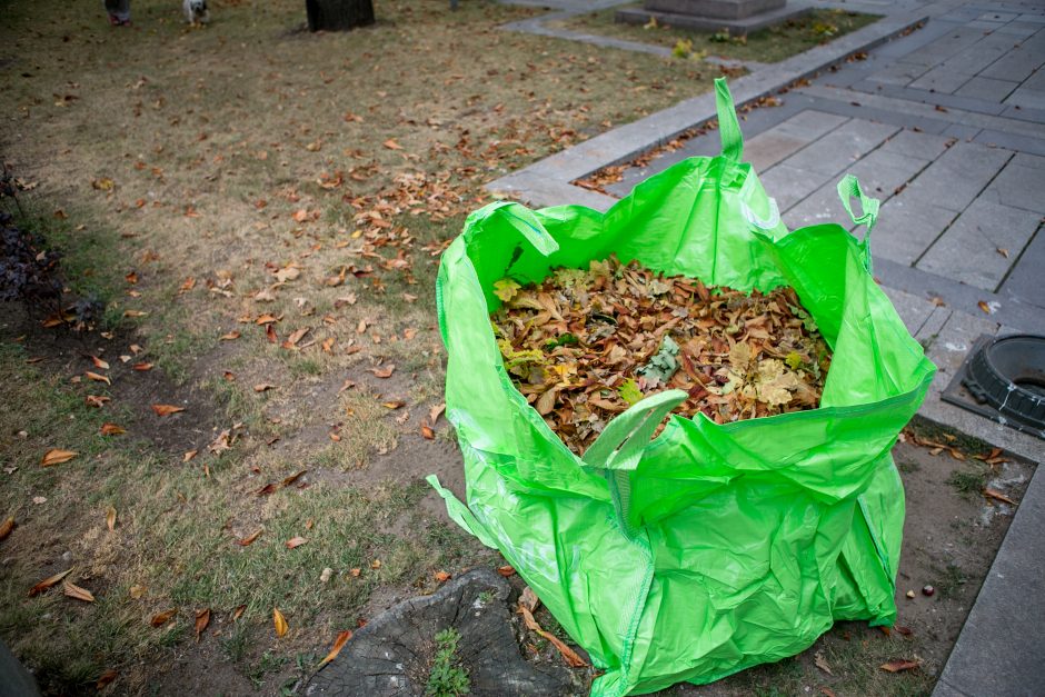 Didmaišius lapams išbandę gyventojai: pasiteisino, tai – išsigelbėjimas rudenį