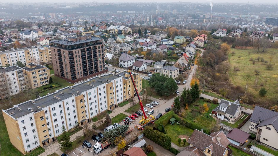 Prasideda: Kauno kalėdinės eglės kelias į Vienybės aikštę