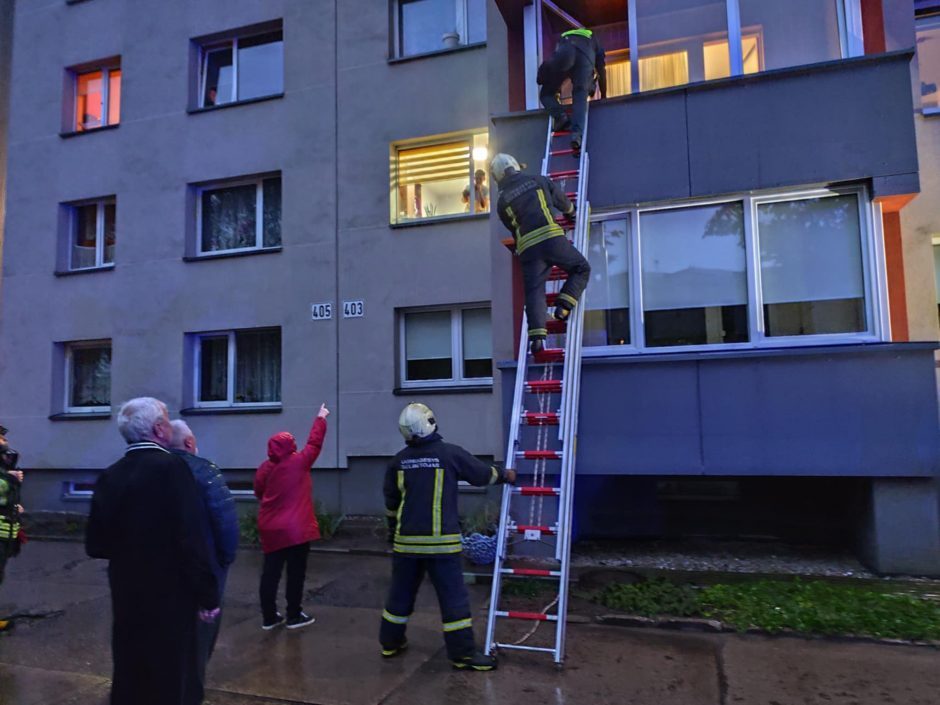 Drama Savanorių prospekte: nukentėjo ir Stafordšyro terjero šeimininkė, ir jos augintinis