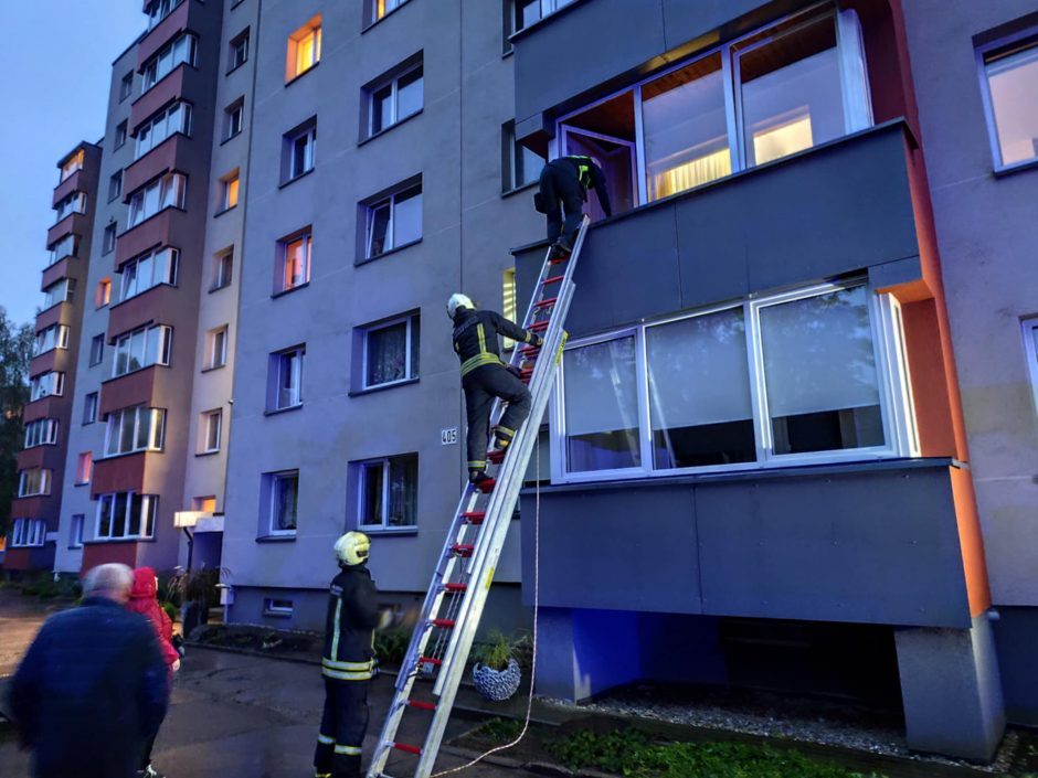 Drama Savanorių prospekte: nukentėjo ir Stafordšyro terjero šeimininkė, ir jos augintinis