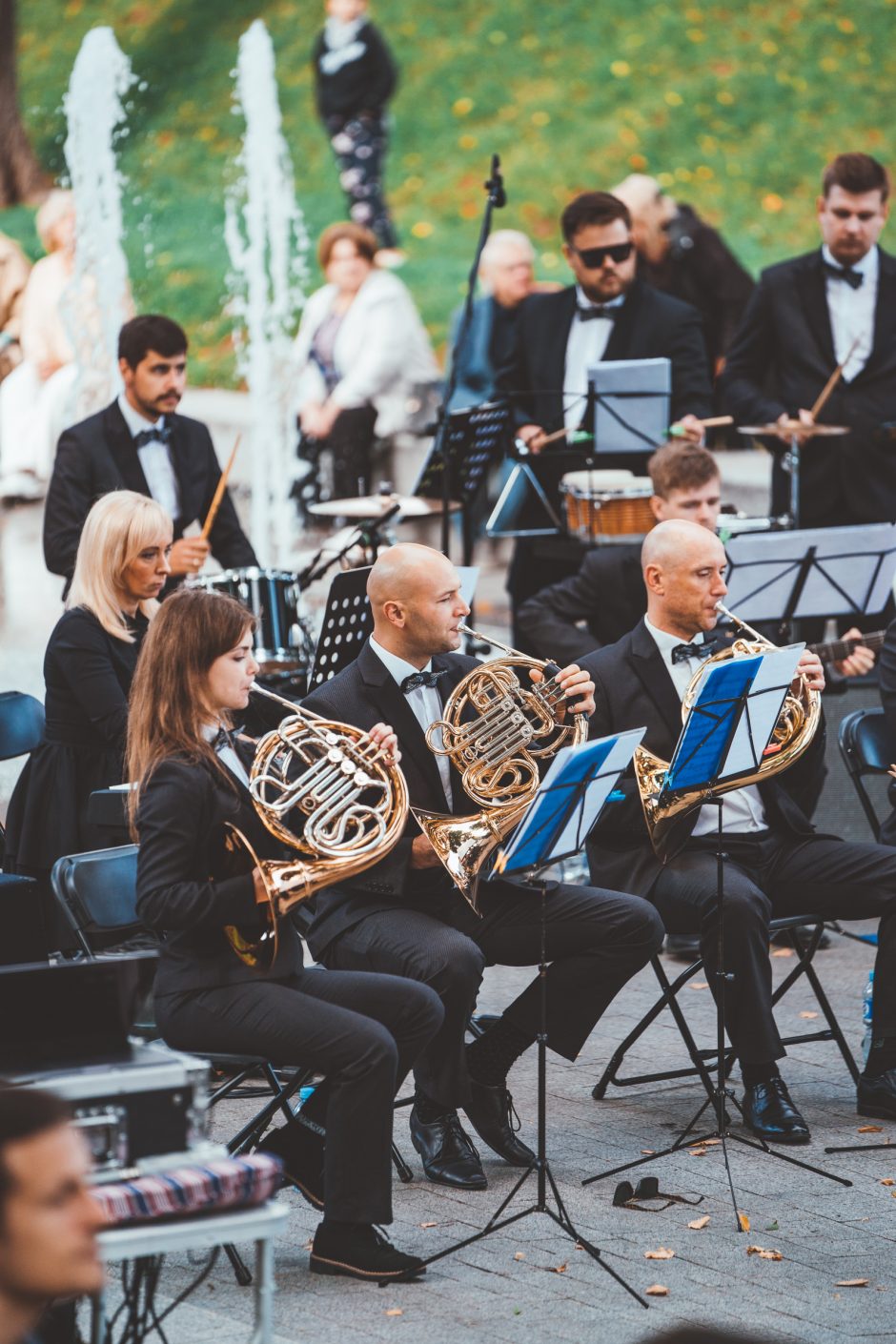 Parko muzika: Kauko laiptų terasoje skambėjo auksinės D. Dolskio dainos