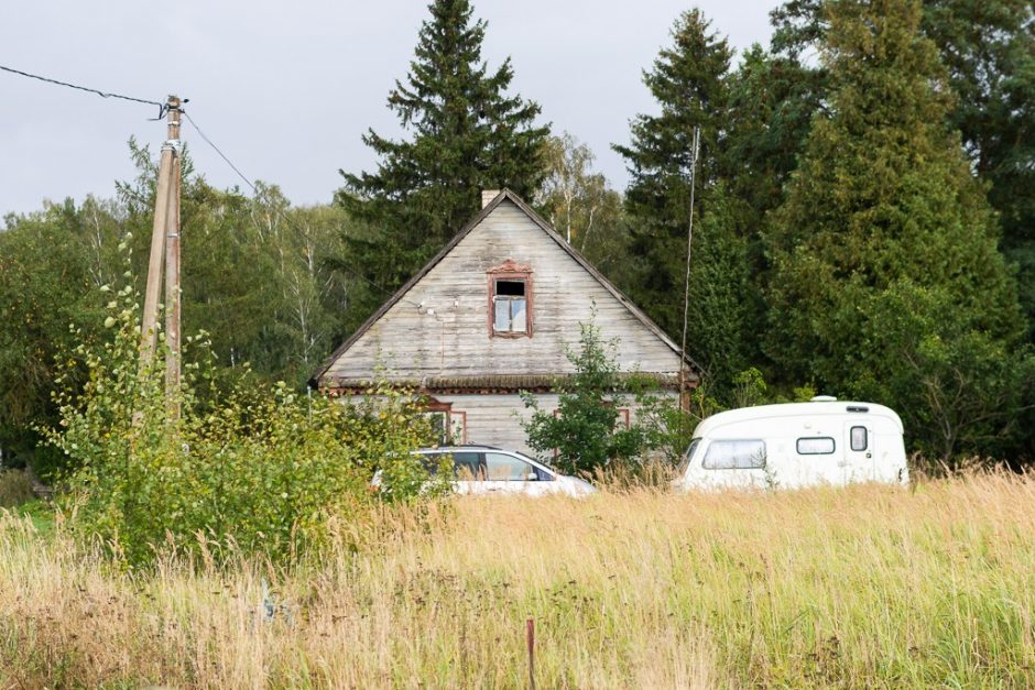 Būrys savanorių skubėjo į Panevėžio rajoną: iš apleistos trobos išgelbėta 11 šuniukų