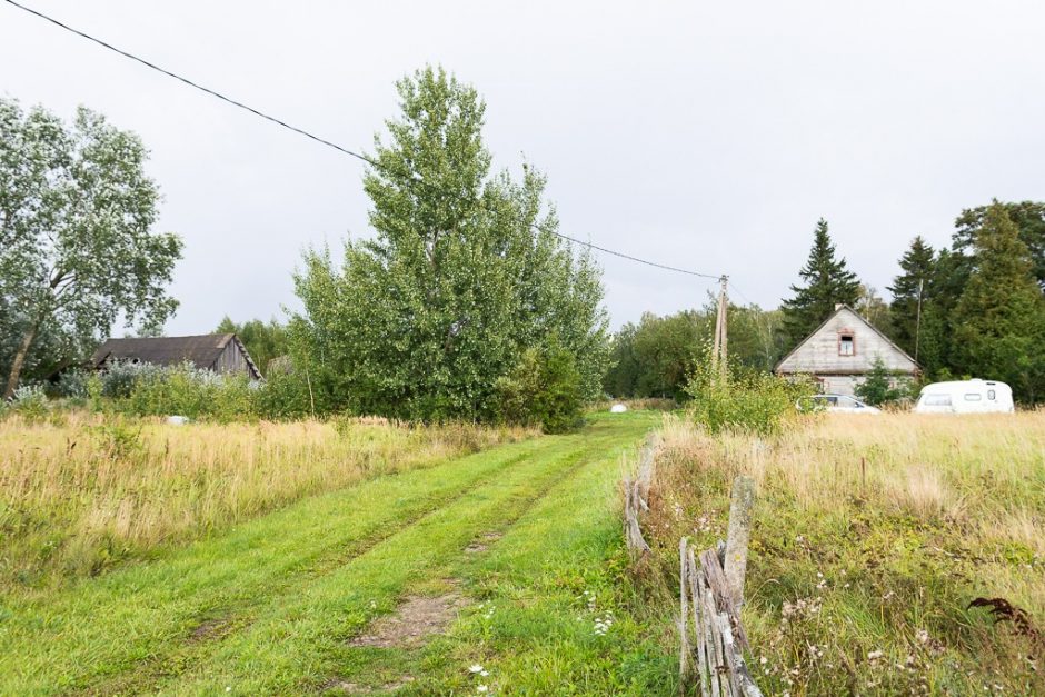 Būrys savanorių skubėjo į Panevėžio rajoną: iš apleistos trobos išgelbėta 11 šuniukų