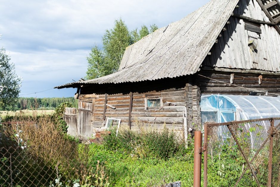 Būrys savanorių skubėjo į Panevėžio rajoną: iš apleistos trobos išgelbėta 11 šuniukų