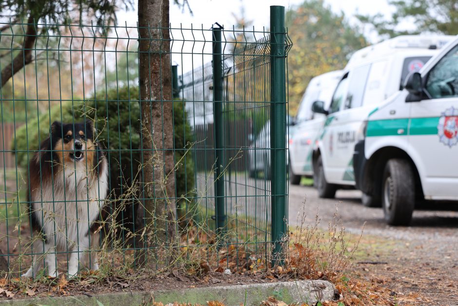 Sumaištis Amaliuose: pareigūnams iš panosės pabėgo nauju nusikaltimu įtariamas kalinys