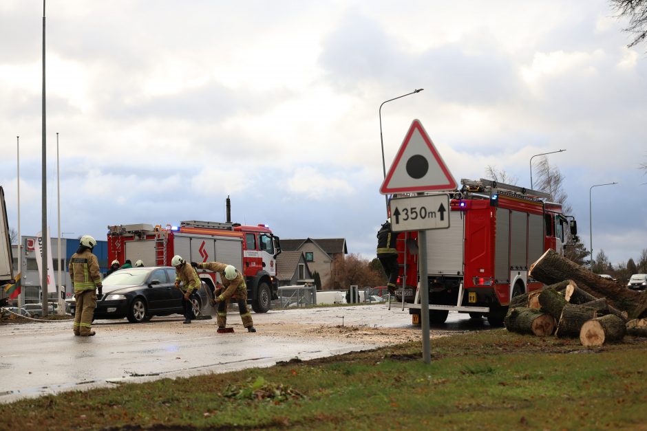 Mieste ir rajone krenta medžiai, gelbėtojams pranešimai plaukia kas minutę