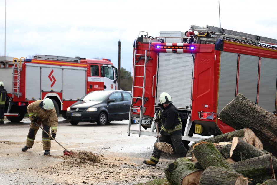 Mieste ir rajone krenta medžiai, gelbėtojams pranešimai plaukia kas minutę