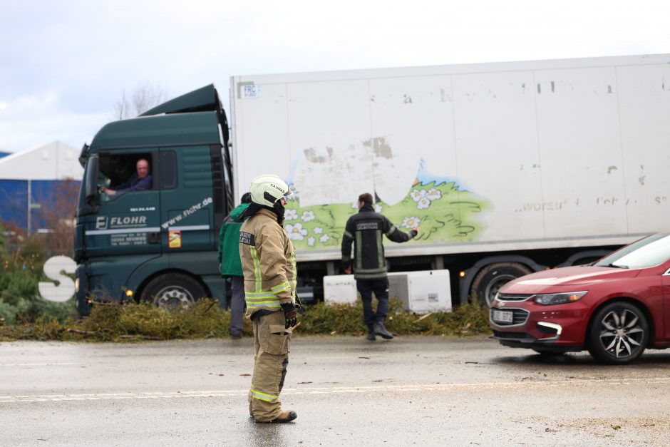 Mieste ir rajone krenta medžiai, gelbėtojams pranešimai plaukia kas minutę