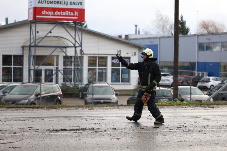 Mieste ir rajone krenta medžiai, gelbėtojams pranešimai plaukia kas minutę