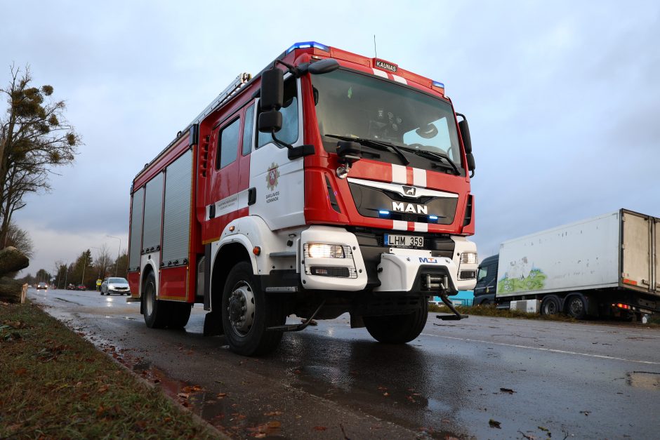 Mieste ir rajone krenta medžiai, gelbėtojams pranešimai plaukia kas minutę