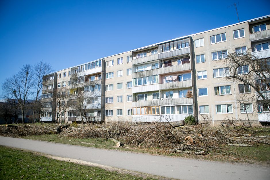 Ištiko šokas: V. Krėvės prospekte iškirto visą eilę medžių