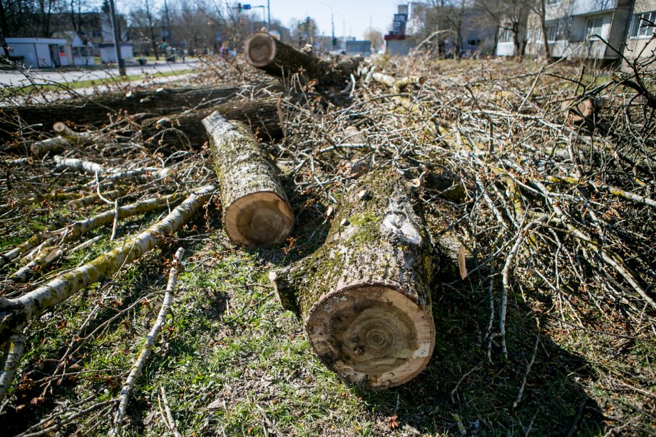 Ištiko šokas: V. Krėvės prospekte iškirto visą eilę medžių