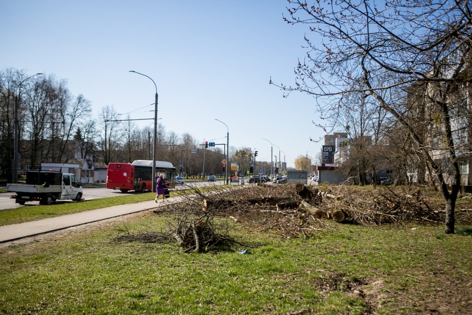 Ištiko šokas: V. Krėvės prospekte iškirto visą eilę medžių